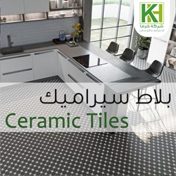 Picture for category Ceramic tiles 